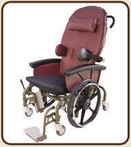 Evolution Mobility Chair Shown with No Options Installed